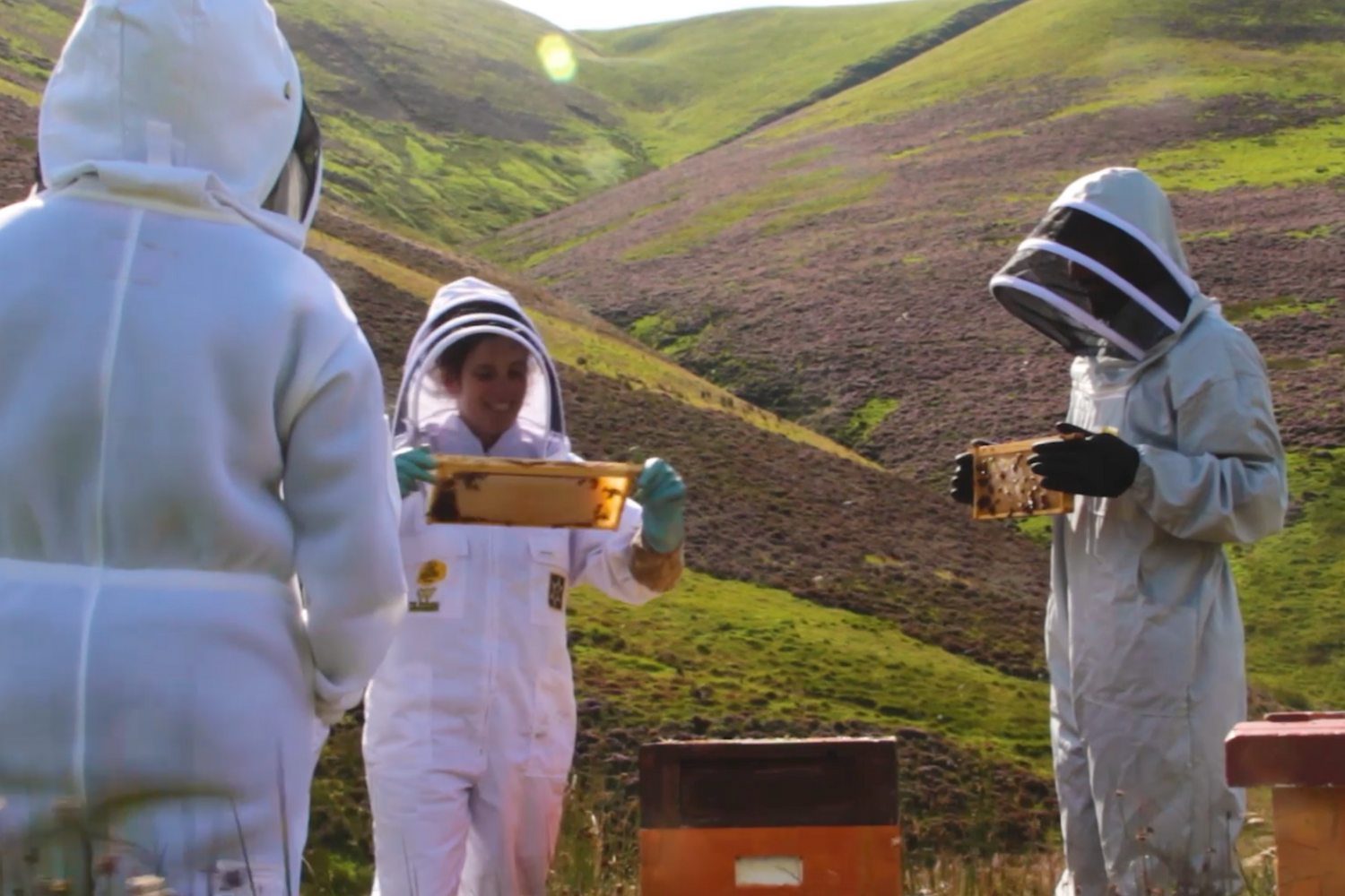 beekeepers in scotland