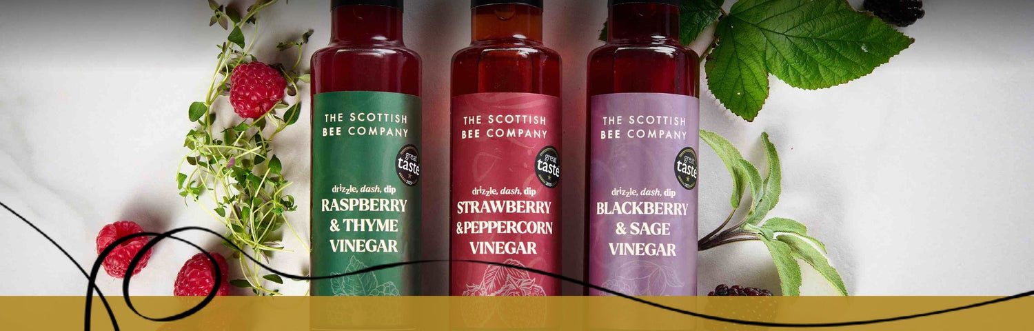 SBC-acv-vinegar-collection-winter-page