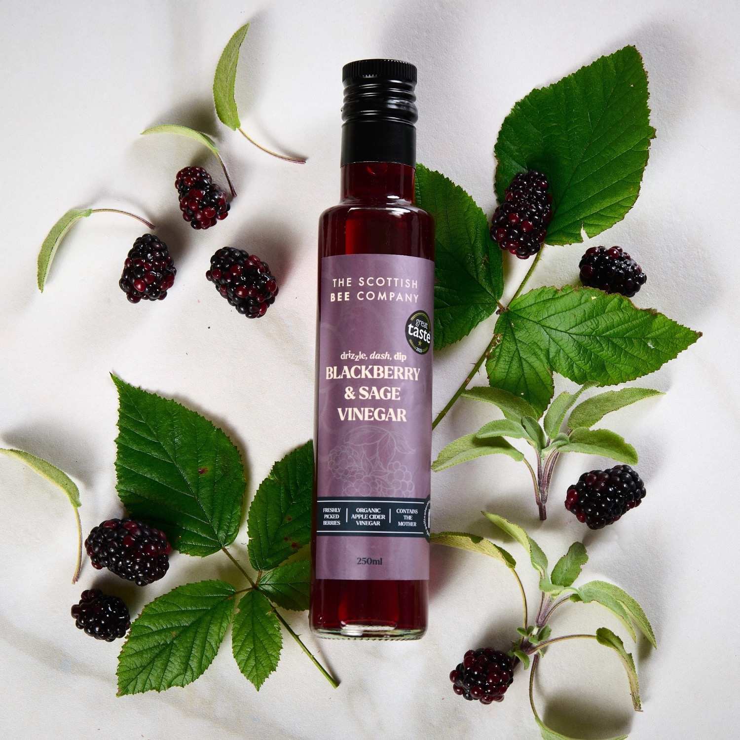 Apple Cider Vinegar Infused with Blackberries & Sage