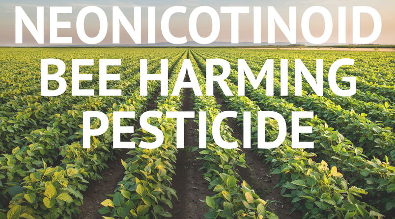 neonicotinoid - bee harming pesticide