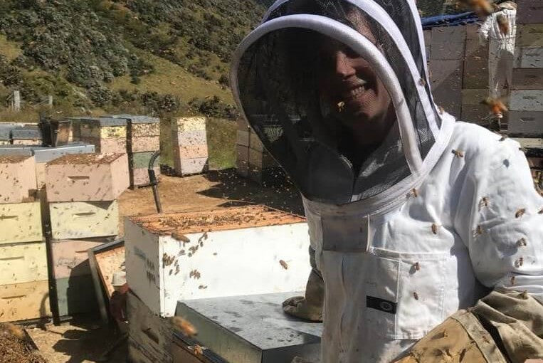 Katie the Scottish Bee Company apprentice in front of hives in New Zealand
