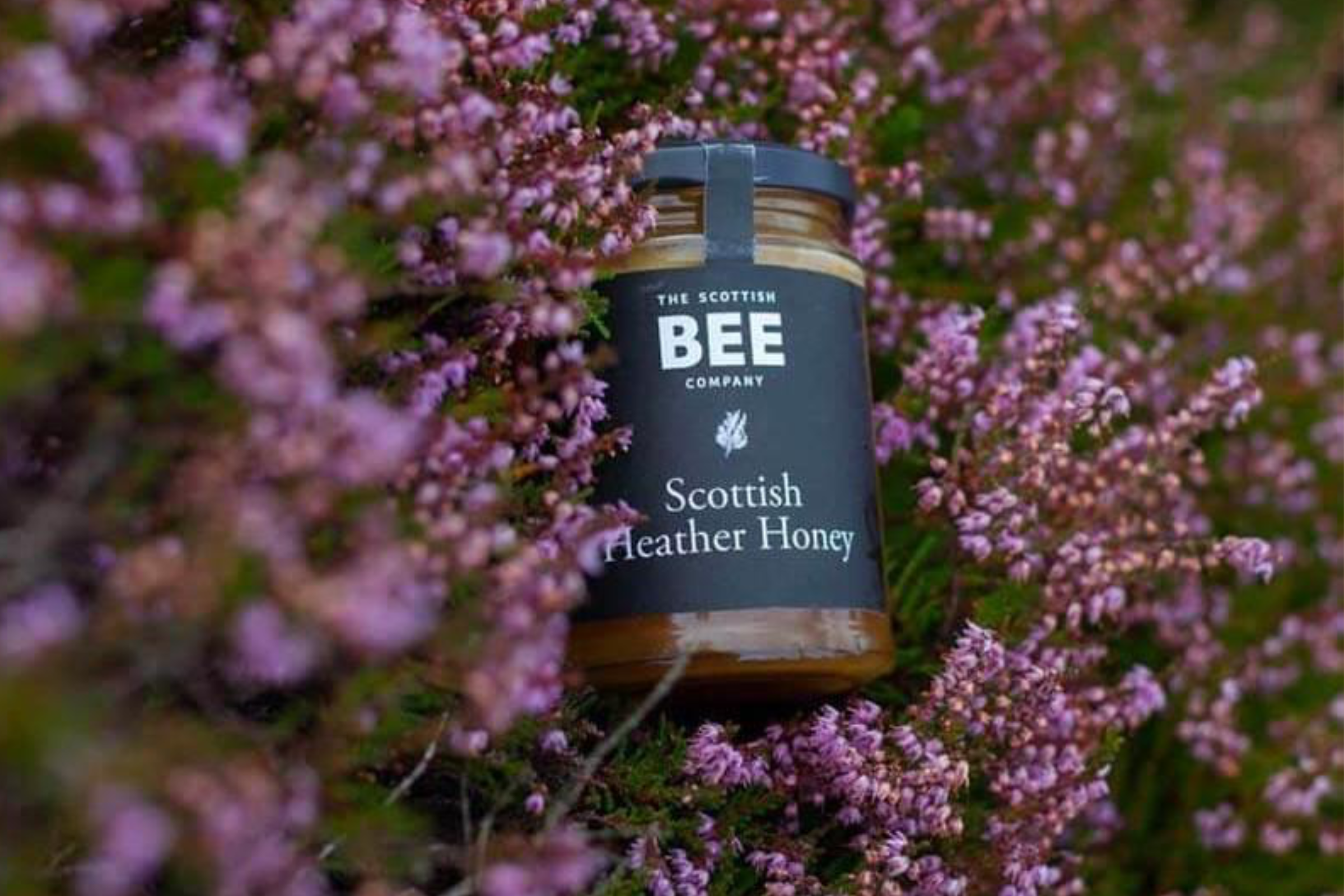Scottish heather honey in heather