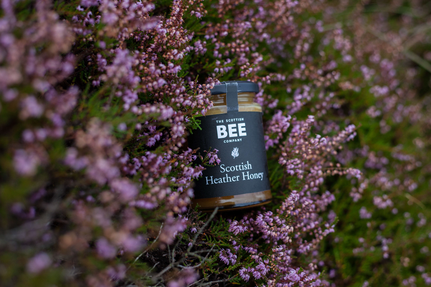 honey in heather