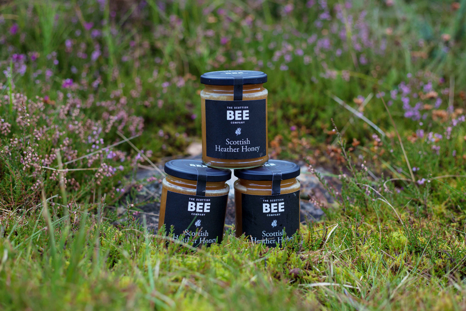 scottish heather honey in a field