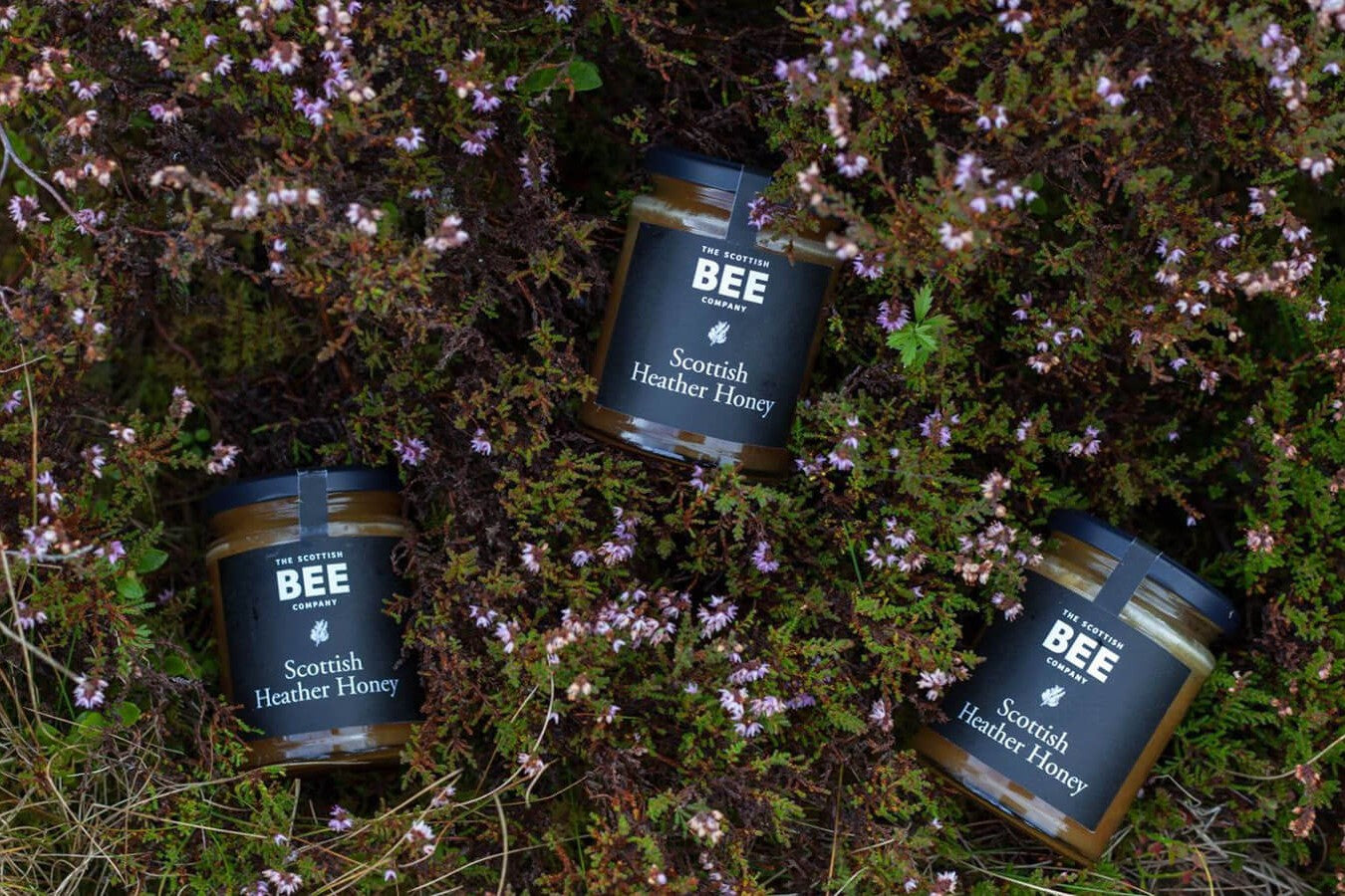 Three jars of heather honey in a heather moor