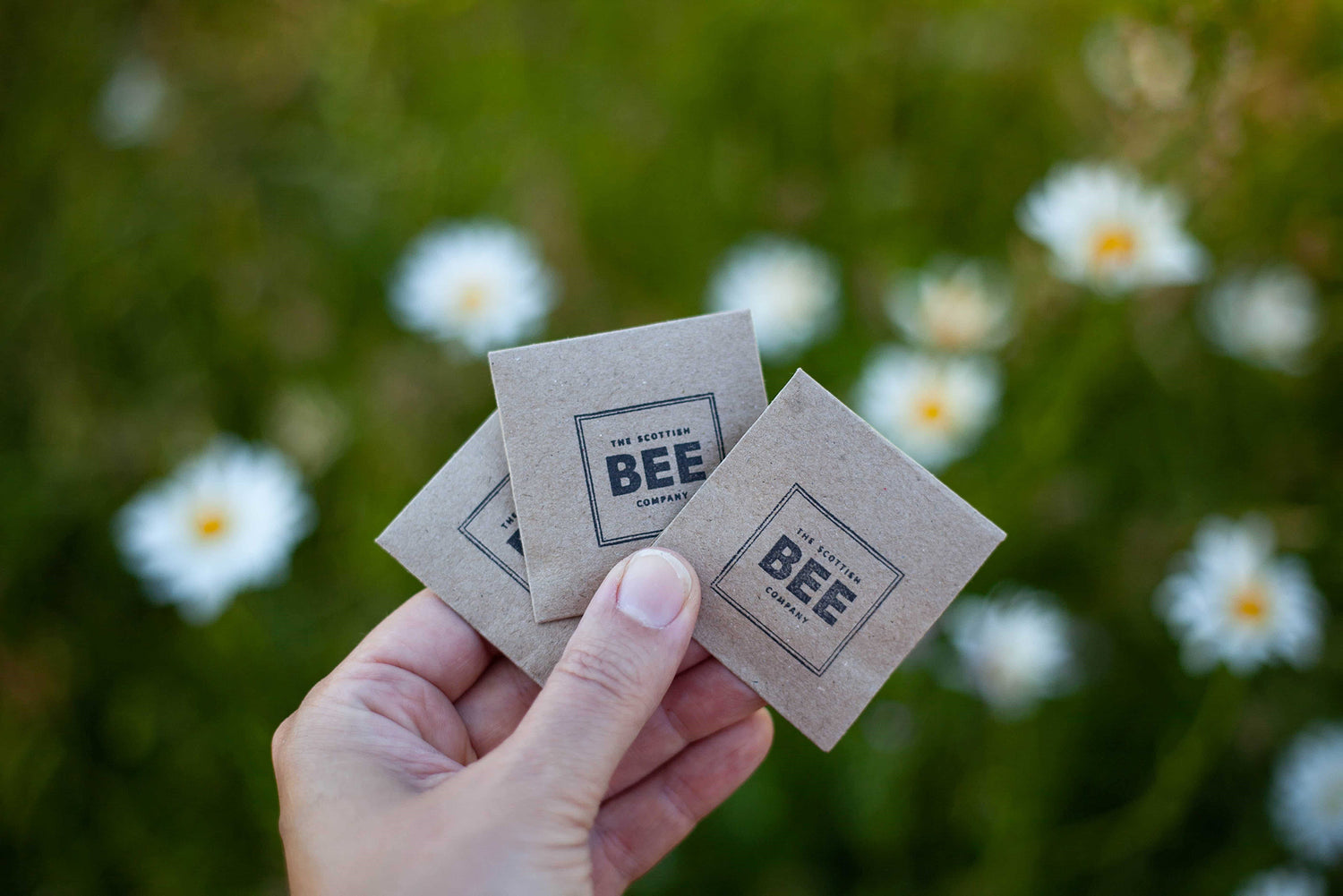 Hand holding three packets of Scottish Bee Company wildflower seeds in front of wildflower meadow