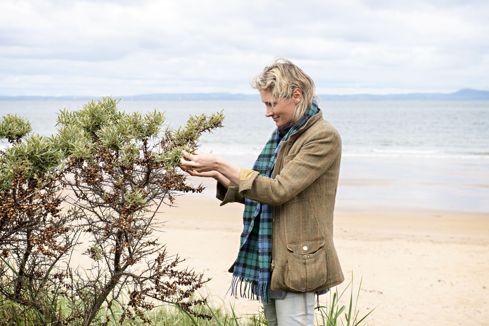 Seabuckthorn Scotland's Kirstie Campbell