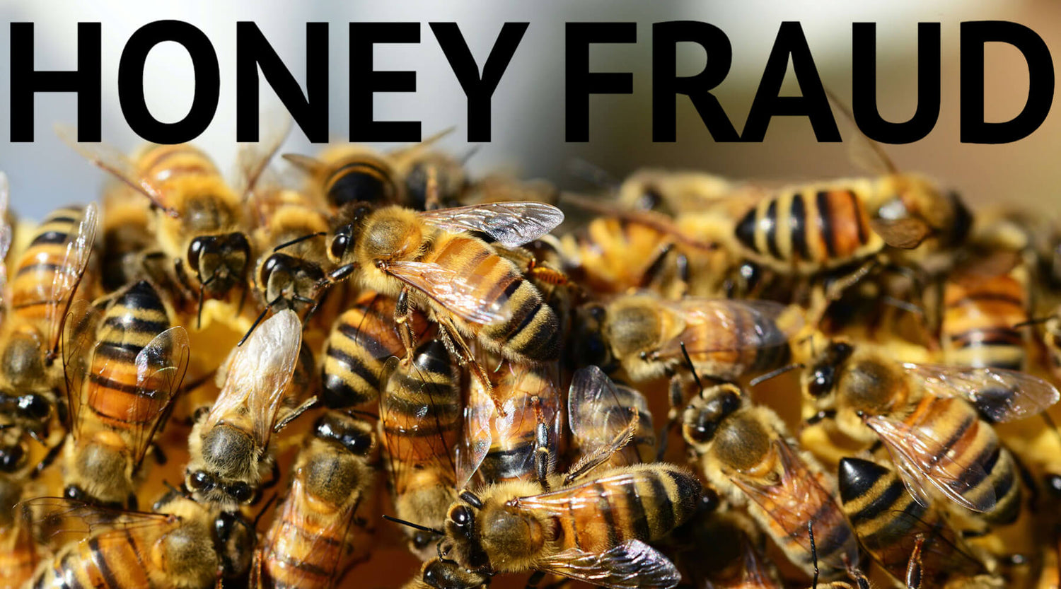 picture of bees with text 'honey fraud'