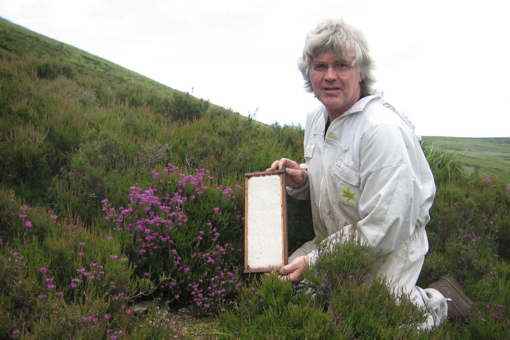 John Mellis (beekeeper) holding frame of honeycomb sat in the Scottish hills next to heather