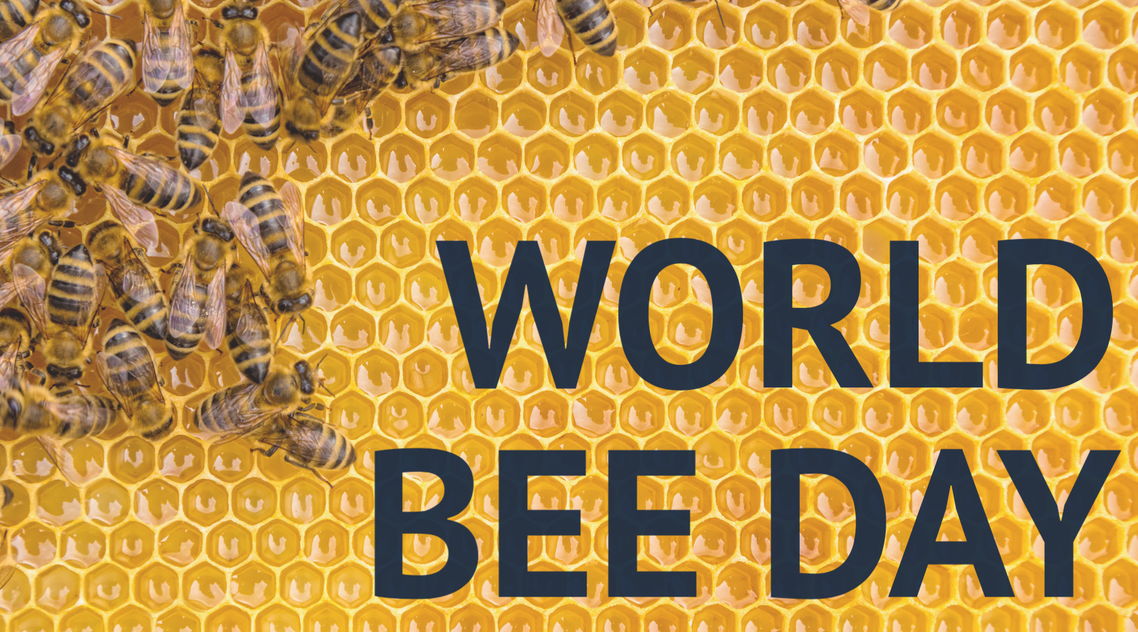 pictuere of bees with text 'world bee day'