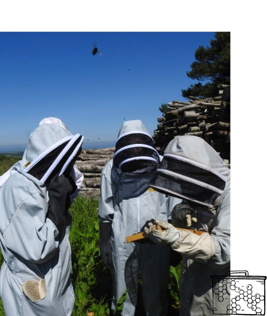 Three people in beekeeping suits observing a beehive.