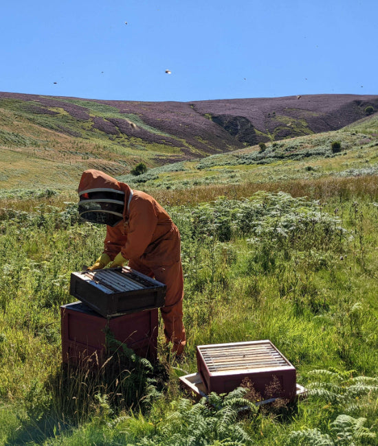 Heather Hills and Beekeeper